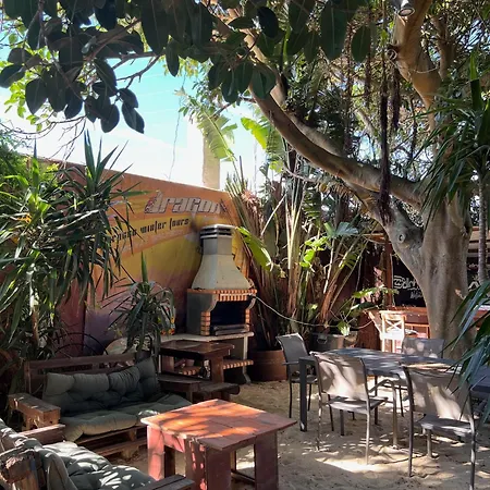 Homestay Kite House
